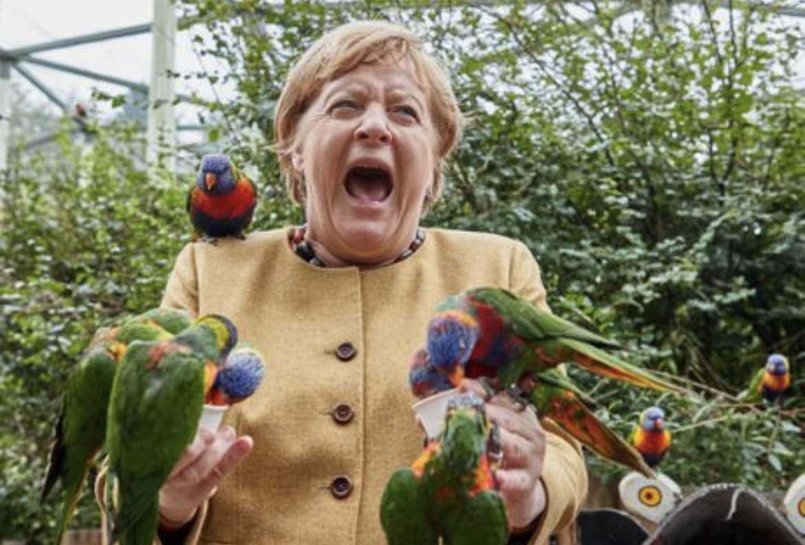 Bolni izraz na licu Merkelove obišao svet! “Napad” se dogodio dok je Merkelova hranila ptice u parku, nakon čega nije htela ni sovu da pomiluje!