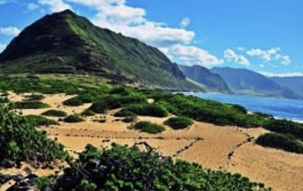 Na havajskom ostrvu Oahu otkriven potok alkohola!