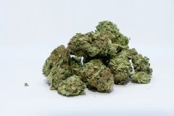 CRNA GORA: Granična policija pronašla 87 kilograma marihuane!