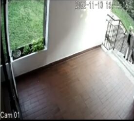 Snimak nasilja: LOPOV u Beogradu UDARA baku sa leđa i otima joj torbu! (VIDEO)