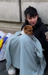 ŠOK VIDEO: Prišao je prelepoj devojci koja prosi u centru Beograda i pitao je koliko zarađuje dnevno! (FOTO, VIDEO)
