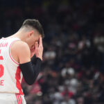 Nemanja Nedović