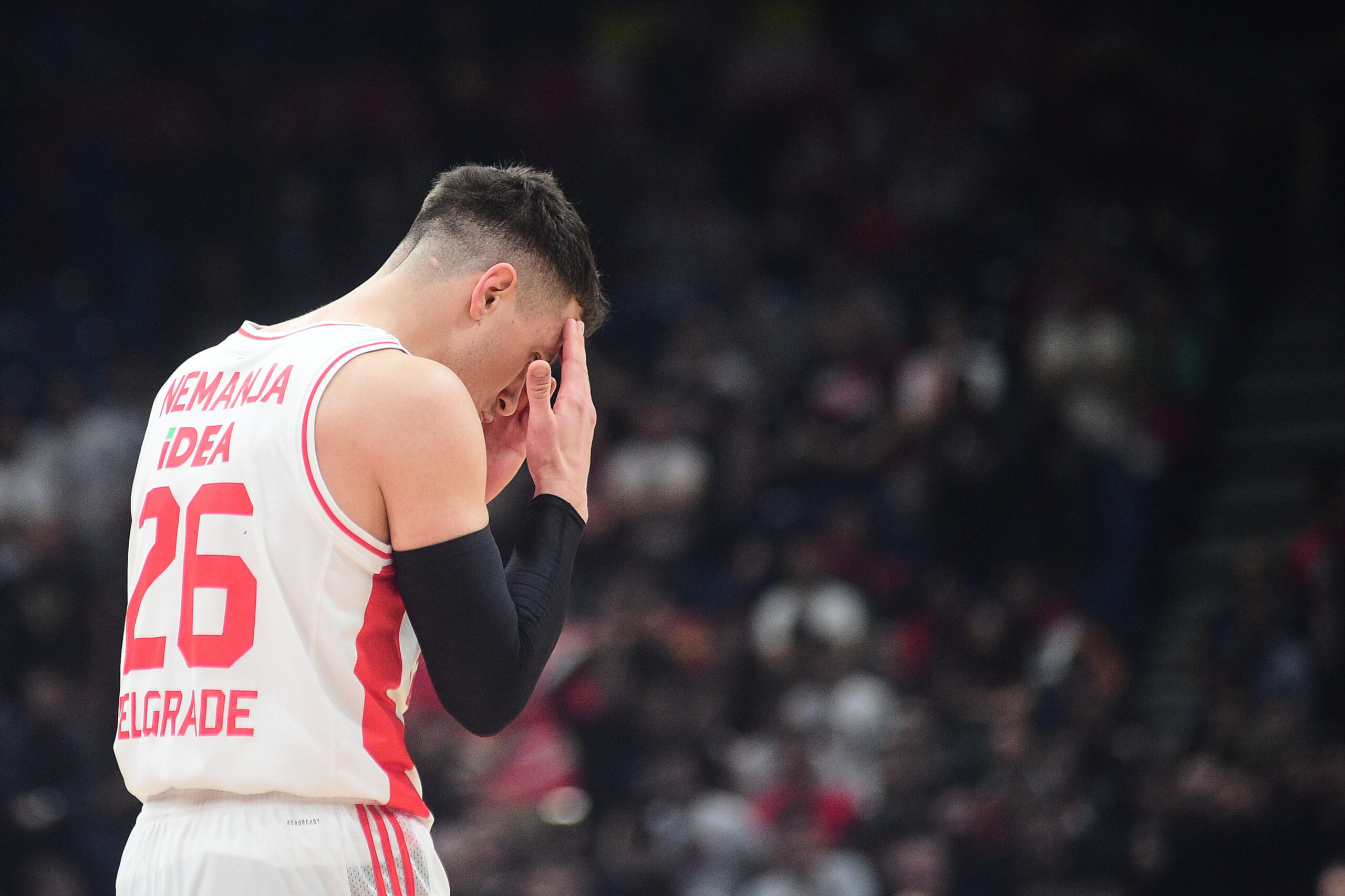 Nemanja Nedović