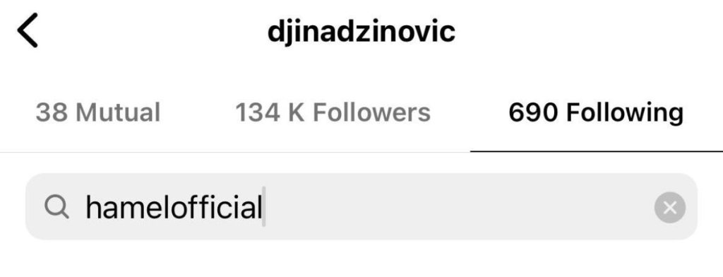 Foto: Instagram prntscreen Đina Džinović