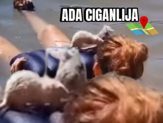 BEOGRAĐANKA PONELA DVA PACOVA NA ADU CIGANLIJU DA SE KUPAJU! Haos na mrežama (VIDEO)