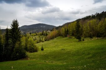 HOLIVUDSKI GLUMAC GRADI KUĆU NA KOSMAJU! Prvi komšija mu je Novak Đoković