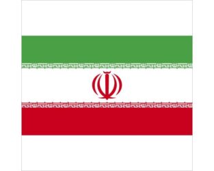 IRANAC KOJI JE OSUĐEN ZA SILOVANJE OKO 200 ŽENA POGUBLJEN U JAVNOSTI