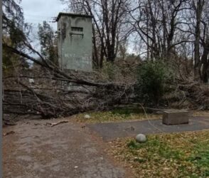 VETAR ČUPAO DRVEĆE IZ KORENA! Olujno nevreme napravilo haos u Jaši Tomiću, celo selo ostalo bez struje! Udari vetra do 112 km/h