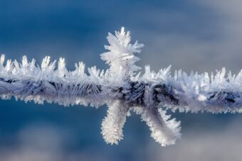 Januar donosi najveći broj LEDENIH dana! Evo šta nas čeka do kraja zime