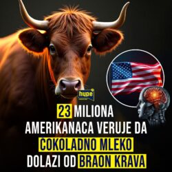 SKANDALOZNO 23 miliona Amerikanaca veruje da čokoladno mleko dolazi od BRAON KRAVA!