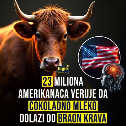 SKANDALOZNO 23 miliona Amerikanaca veruje da čokoladno mleko dolazi od braon krava