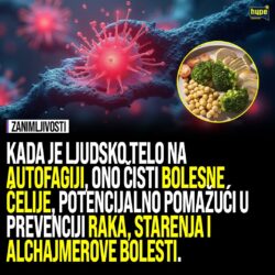 ŠTA JE, ZAPRAVO, AUTOFAGIJA: Pomaže telu da se “očisti”, ali jedno treba imati u vidu!