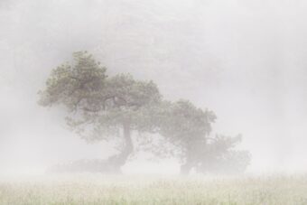 Danas oblačno, tmurno i hladno! Povremeno sa padavinama, temperatura do 4 stepena