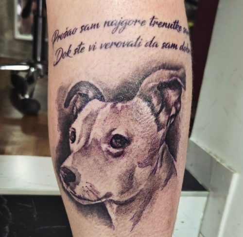 JANJUŠ IMA NOVU TETOVAŽU