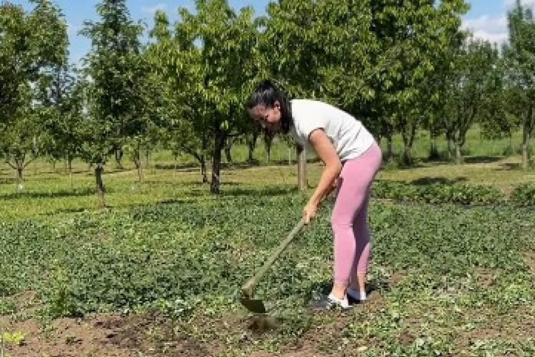 SUPRUGA NAŠEG PEVAČA SE UHVATILA MOTIKE! Pokazala kako se radi na NJIVI, pa se obratila sestri ovim rečima