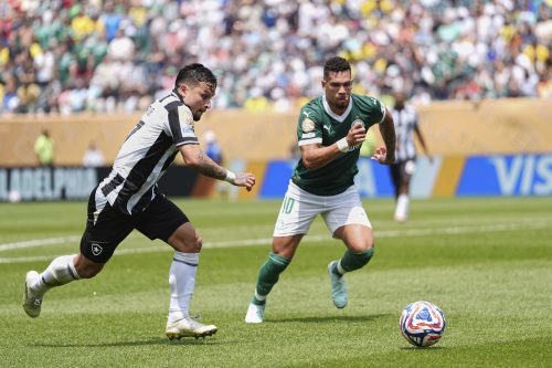detalj sa meča Palmeiras-Botafogo