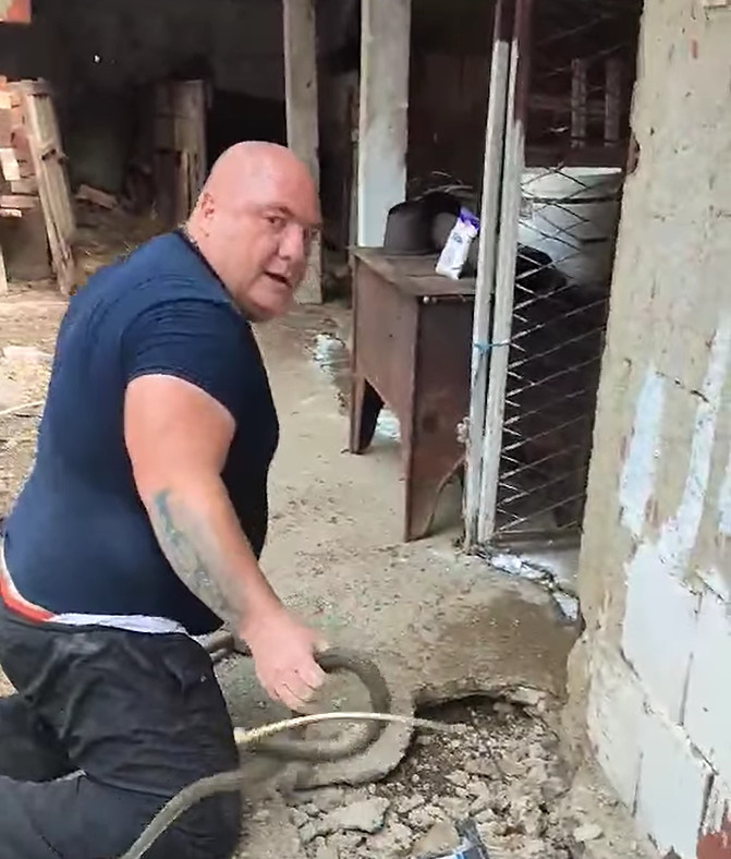 MUŠKARAC VADI ZMIJE IZ TEMELJA KUĆE! Deca gledala (VIDEO)