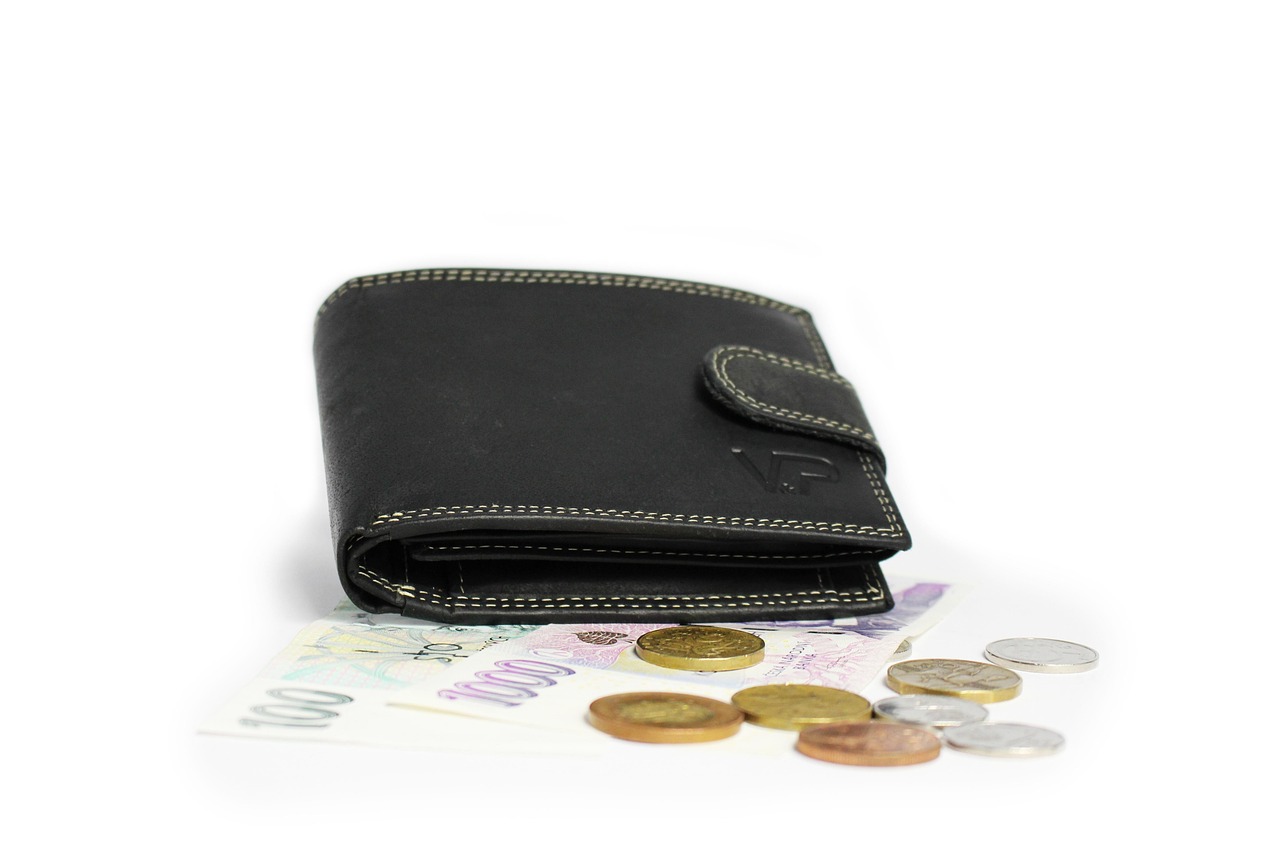 KOJA BOJA NOVČANIKA NAJVIŠE PRIVLAČI FINANSIJSKI USPEH?