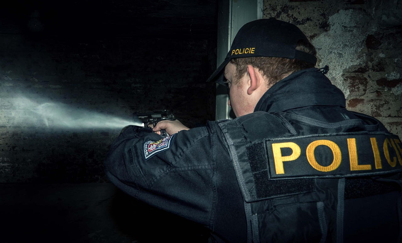 PUCNJAVA U NOVOM PAZARU Mladić (24) ranio sestru (19)