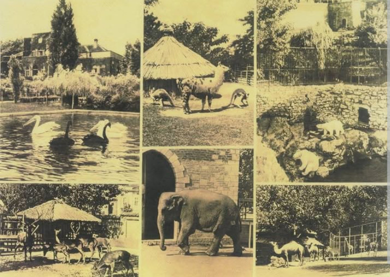 Na današnji dan 1936. godine, na Malom Kalemegdanu u Beogradu, otvoren je Zoološki vrt