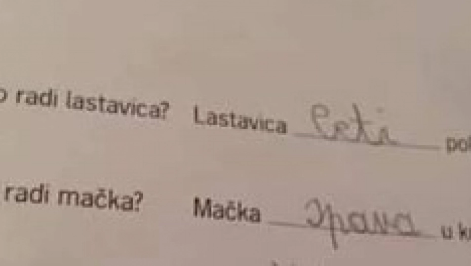 MALIŠAN POSTAO HIT NA INTERNETU! Njegov odgovor iz domaćeg zadatka NASMEJAO CELU SRBIJU, kakav CAR (FOTO)