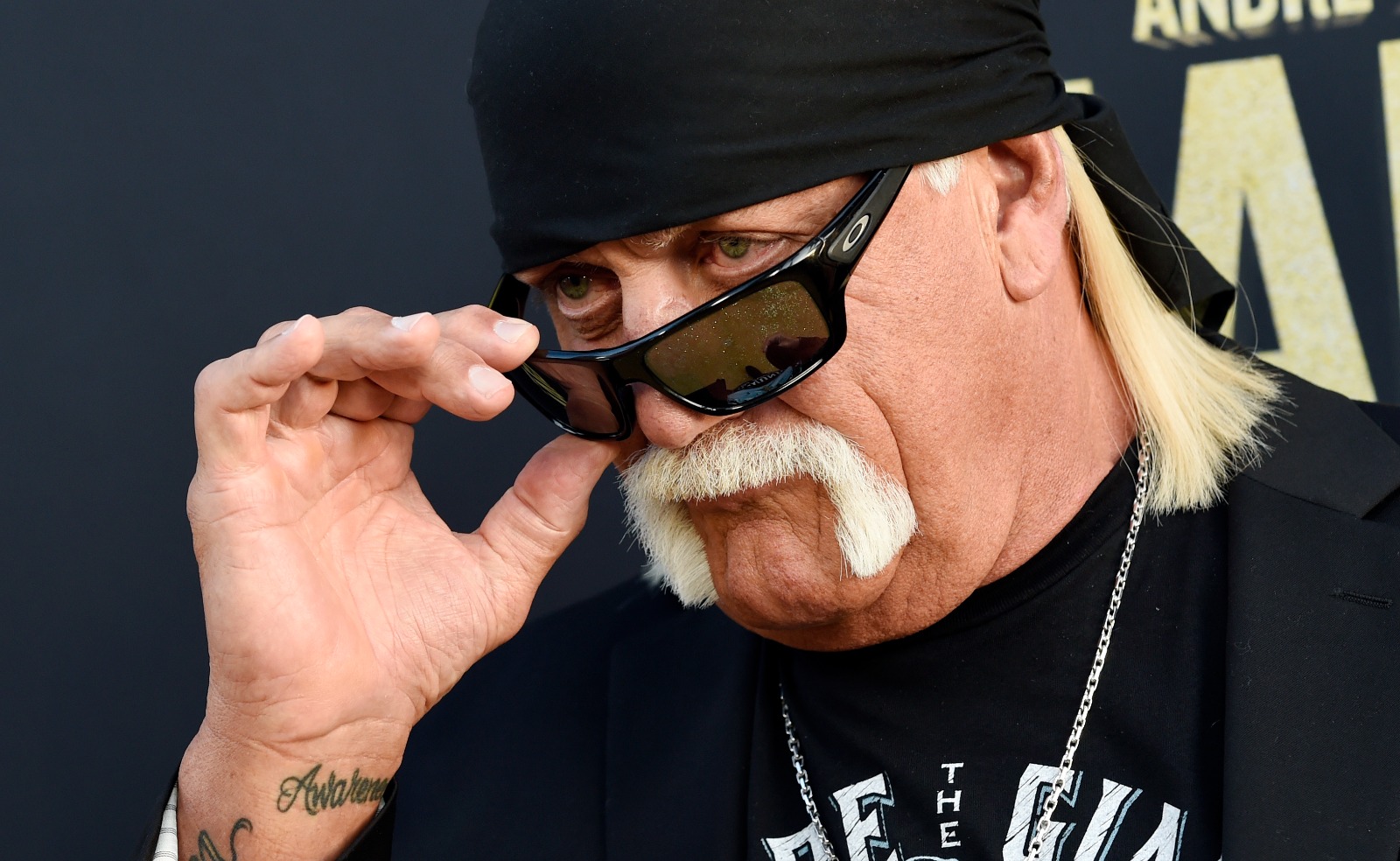 PREMINUO ČUVENI AMERIČKI KEČER HULK HOGAN