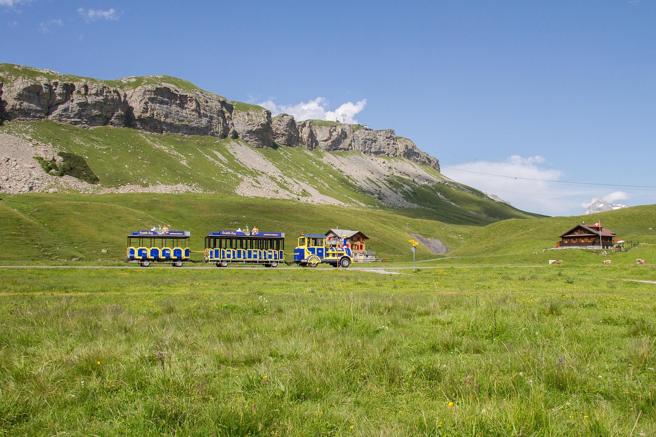 Prevrnuo se turistički voz! Povređeno 12 osoba!