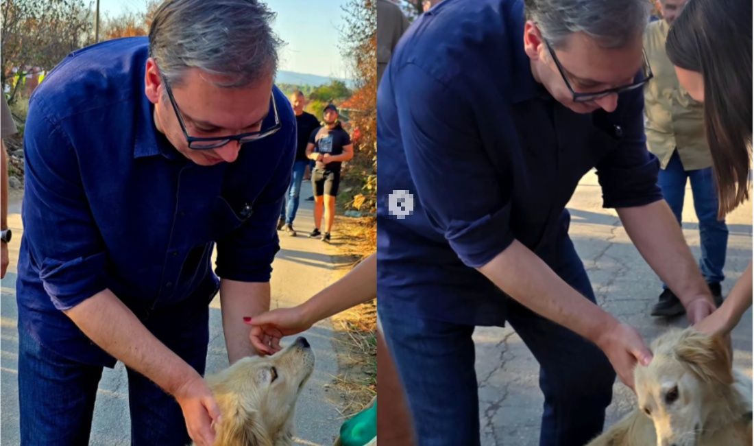 VUČIĆ ODUŠEVIO FOTOGRAFIJOM IZ ŽITORAĐE: „Diplomatija na četiri šape“ u akciji! (FOTO)