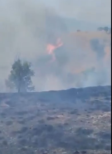 Prvi snimci požara kod Preševa! Gust dim i vatra koja guta rastinje…