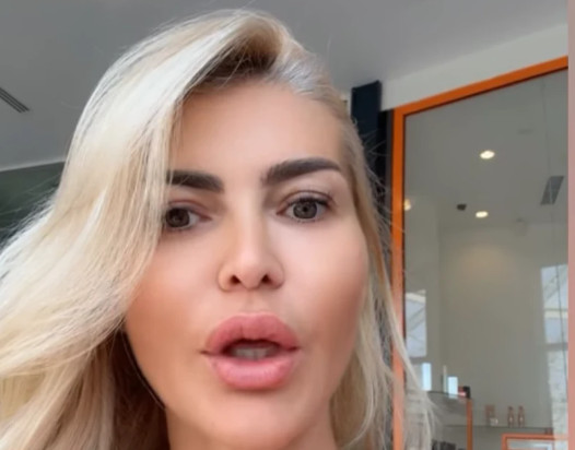 „ISTRAGA JE U TOKU“ Snežana Borjan otkrila detalje provale u vilu, evo šta se dešava