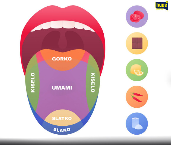 ZNATE LI DA POSTOJI PETI UKUS – UMAMI?! Evo o čemu se radi
