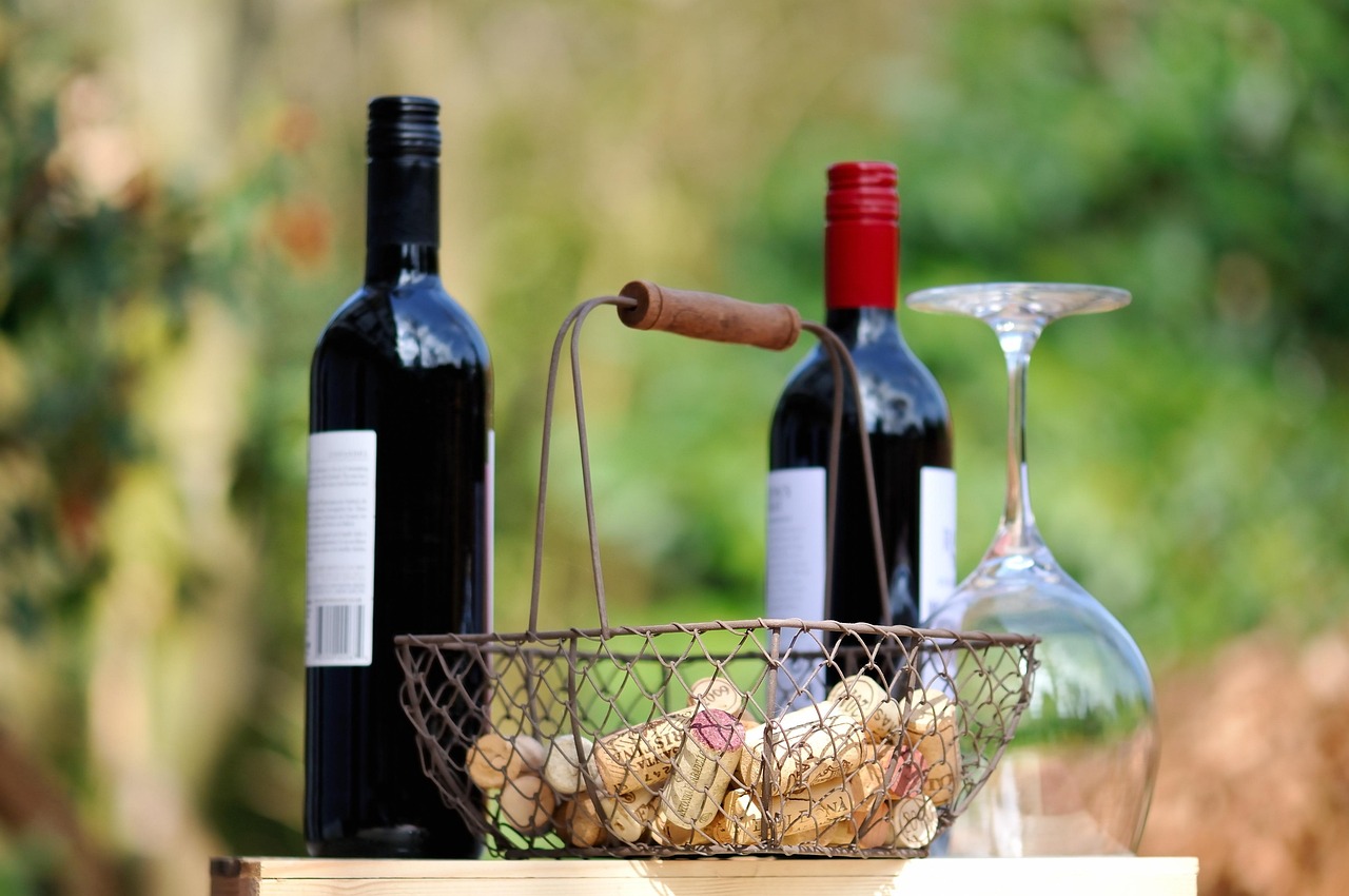 Vinski festival na Zemunskom keju!
