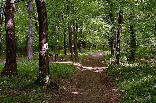 HAOS NA FRUŠKOJ GORI! Nacionalni park objavio hitno upozorenje!