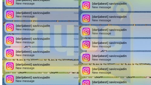 OVO SU PRIVATNE PORUKE VUJADINA SAVIĆA KOJE JE SLAO TRANSRODNOJ TIKTOKERKI (FOTO)