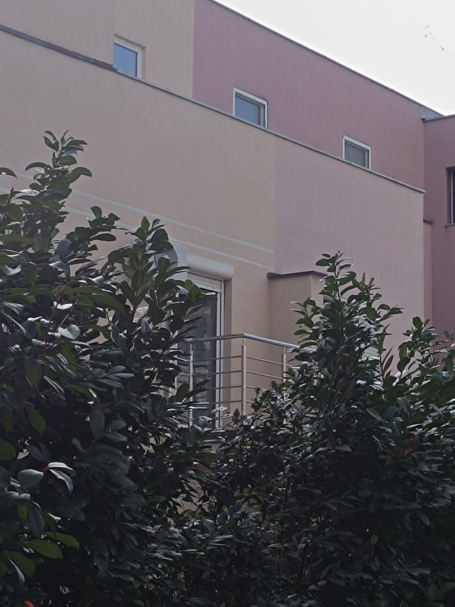 Vila Zdravka Čolića