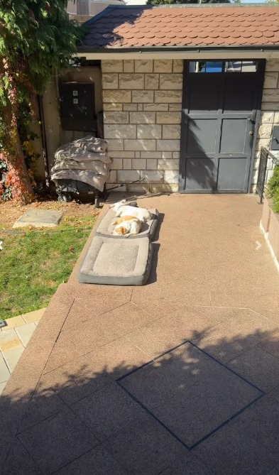 Dom Jelene Karleuše