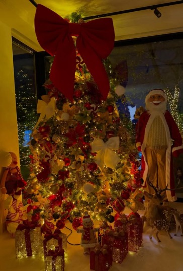 Novogodišnja dekoracija Ane Korać