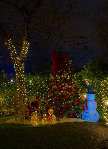 Novogodišnja dekoracija Ane Korać