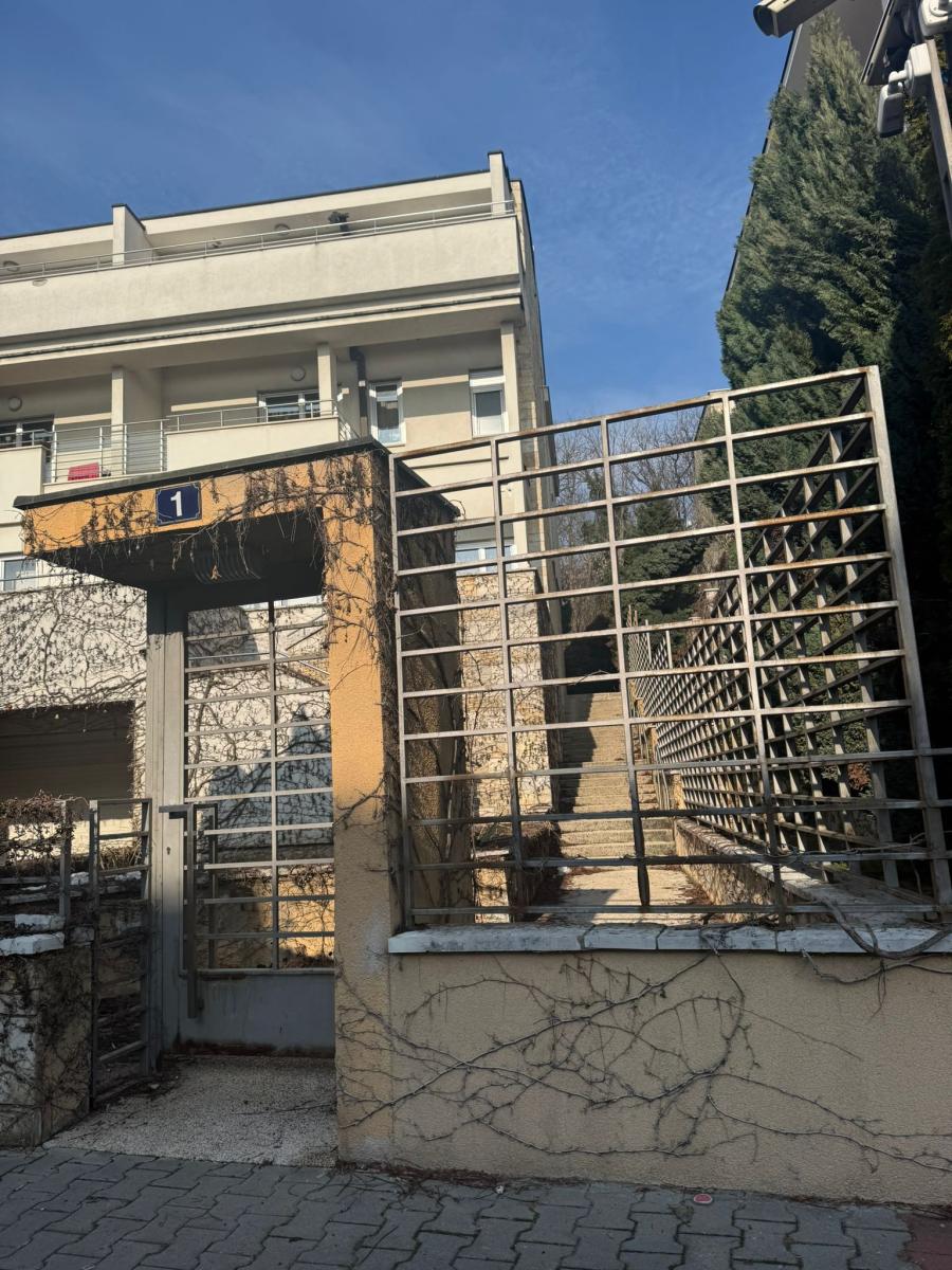 Jelena Karleuša Duško Tošić