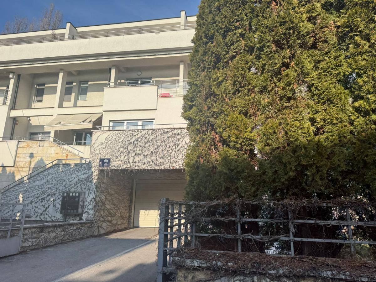 Jelena Karleuša Duško Tošić