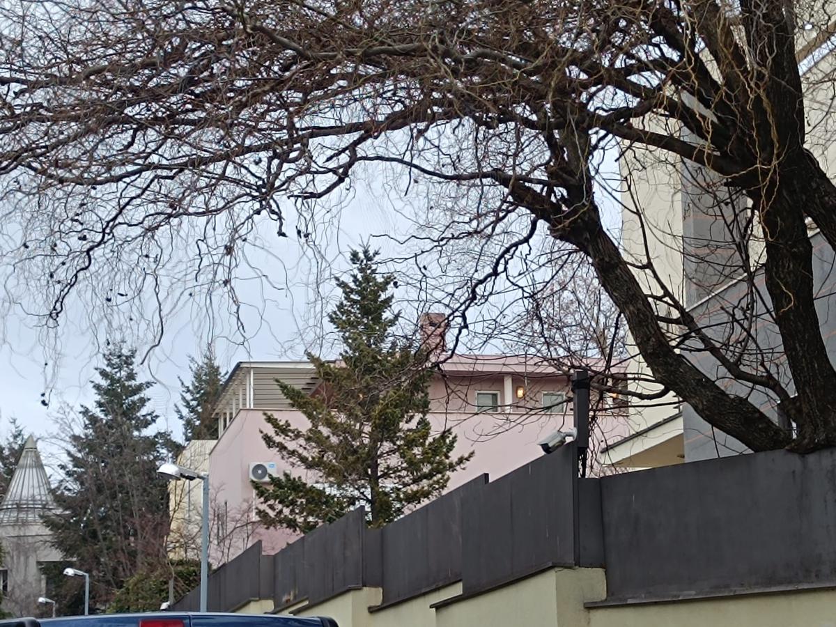 Vila Zdravka Čolića