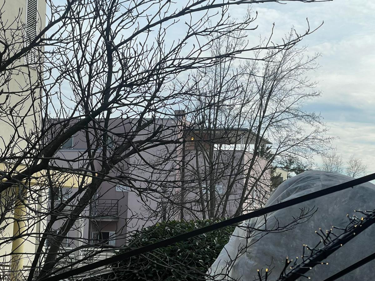 Vila Zdravka Čolića