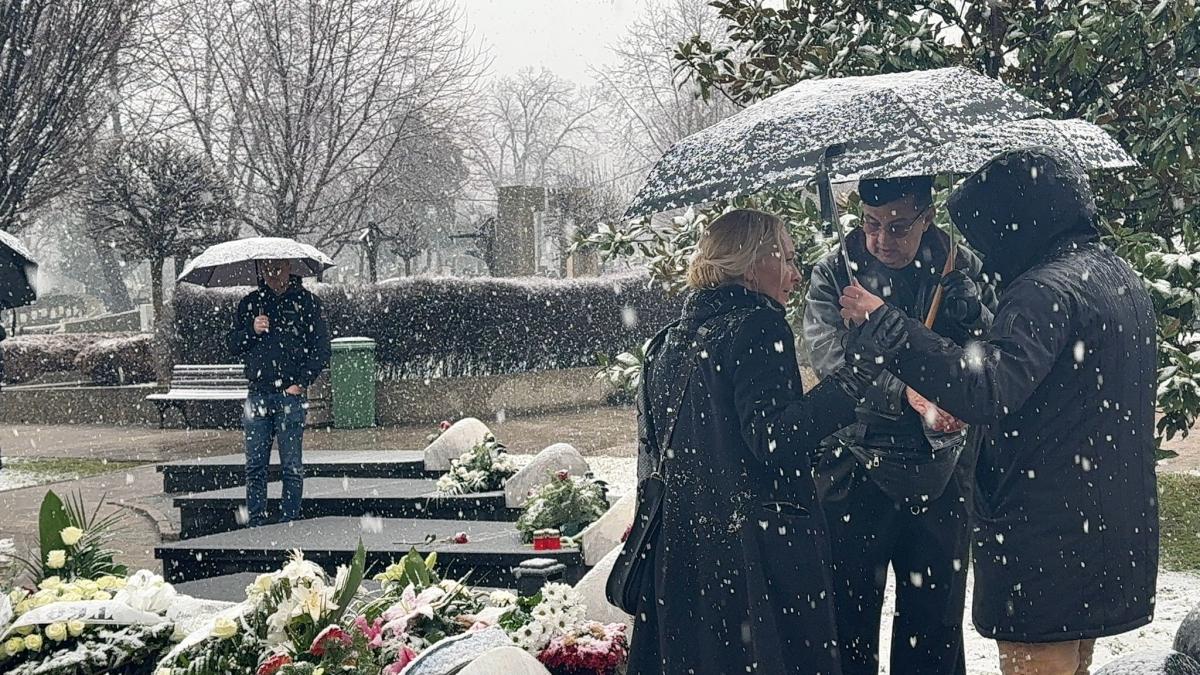 Šaban Šaulić pomen